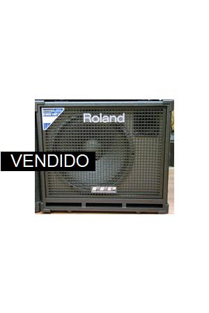 Roland D-BASS 115X Roland D-BASS 115X